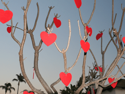 13/02/21- SAN CALENTIN